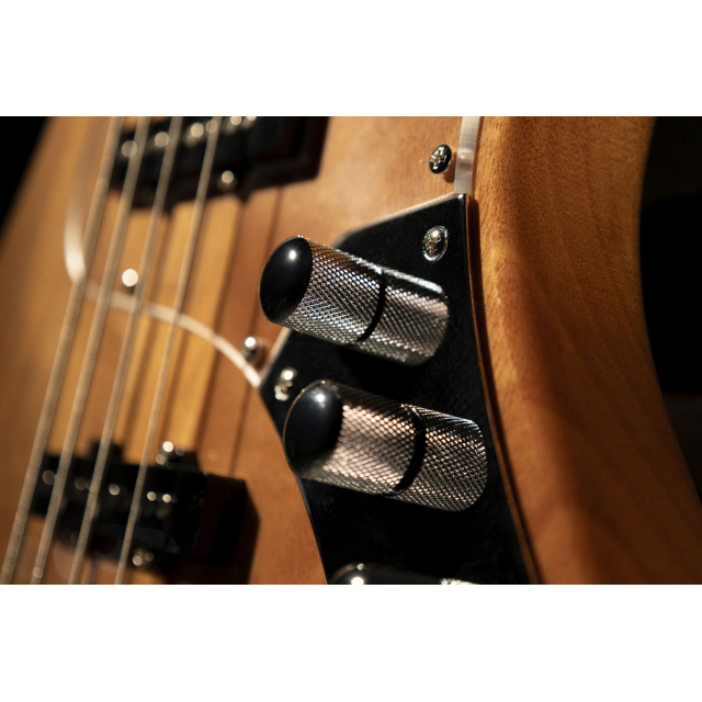 Electric bass with roasted maple freboard and neck (4 strings)