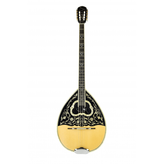 BZ-1   Single-coil, soundhole-mounted design with passive electronics for bouzouki