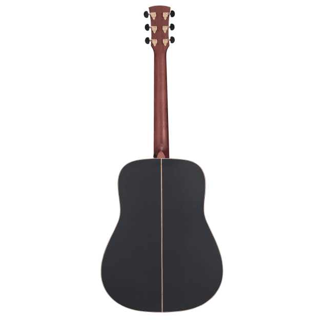 SHADOW series acoustic guitar