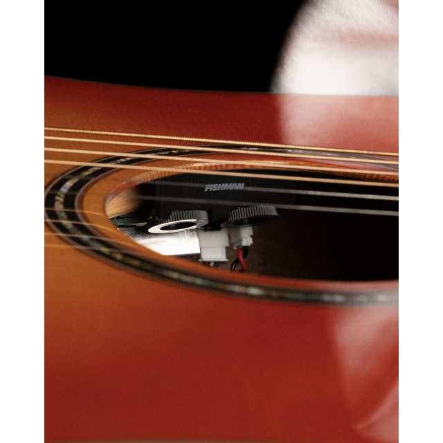 Cutaway acoustic guitar with preamp