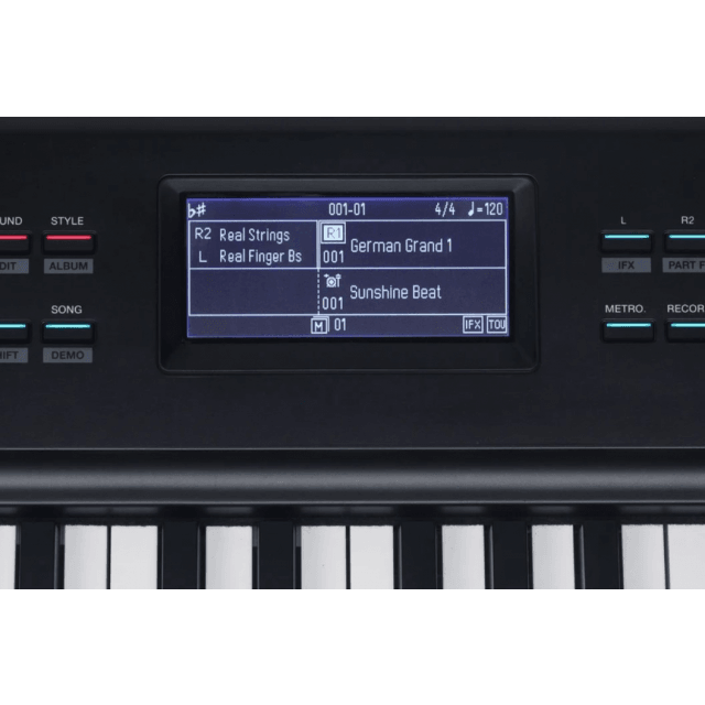 Professional stage piano