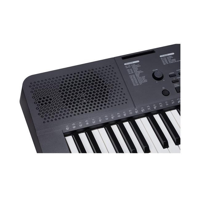 Tastiera entry level a 61 tasti "Touch Response".