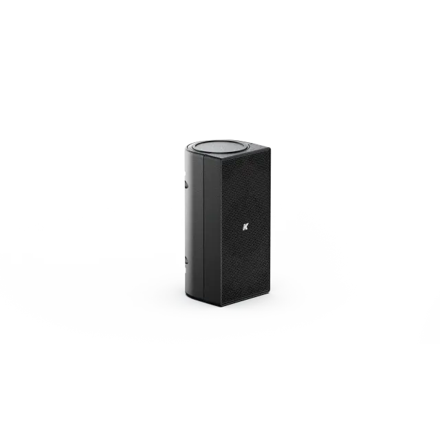 Diffusore Passivo Ultra Compatto Point Source da 2", 4 Ohm (colore Nero)