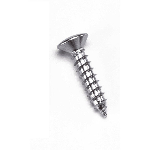 Confezione 50 Viti Cromate 4x20 per attaccacorde  T40C/T20C