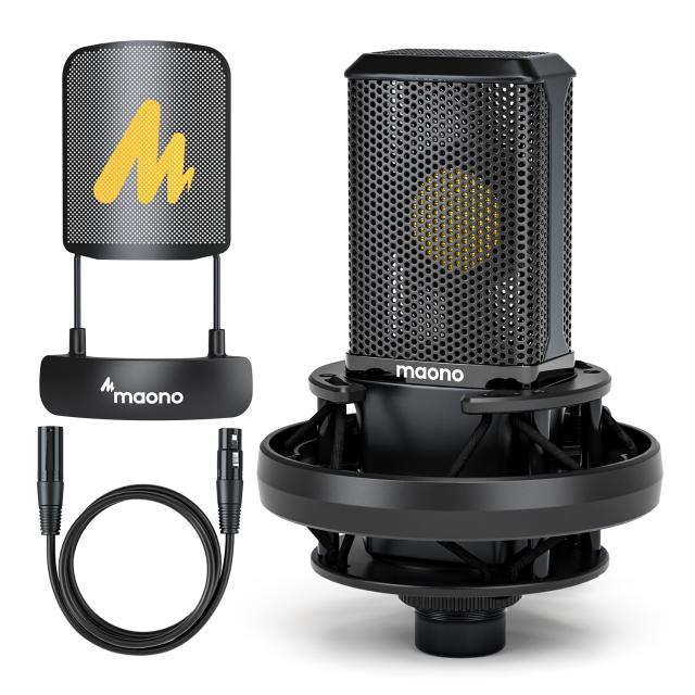 Professional large Diaphgram Microphone AU-PM500