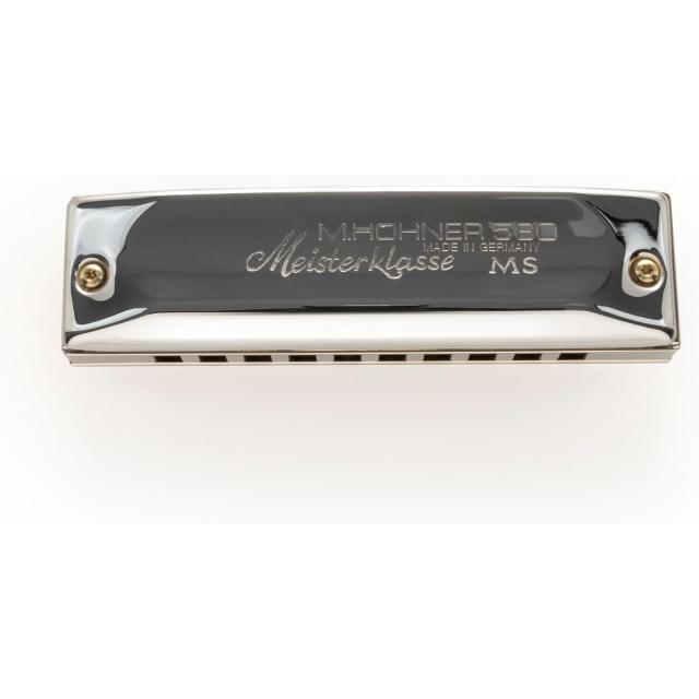 High grade 10 hole diatonic harmonica