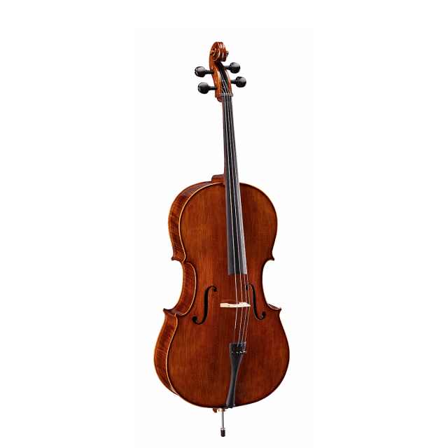 All solid wood 3/4 cello with flamed maple back and side