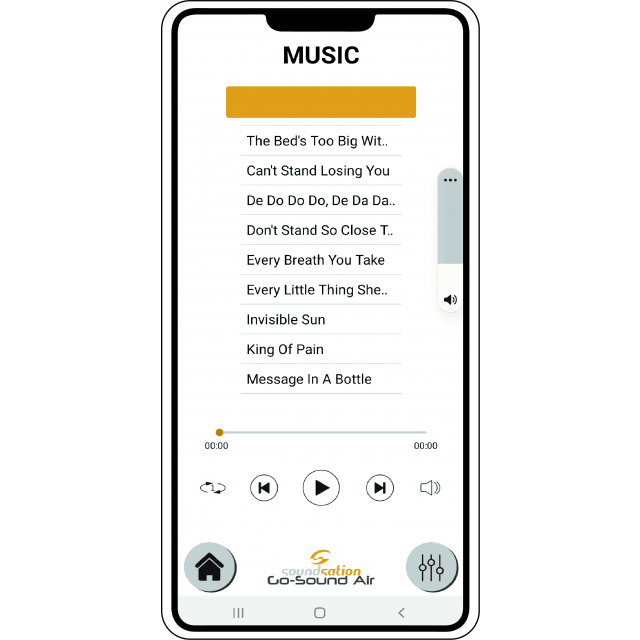 Sistema PA Portatile da 12" con App Go-Sound Air, 2 Radiomicrofoni VHF, Trolley e Batteria