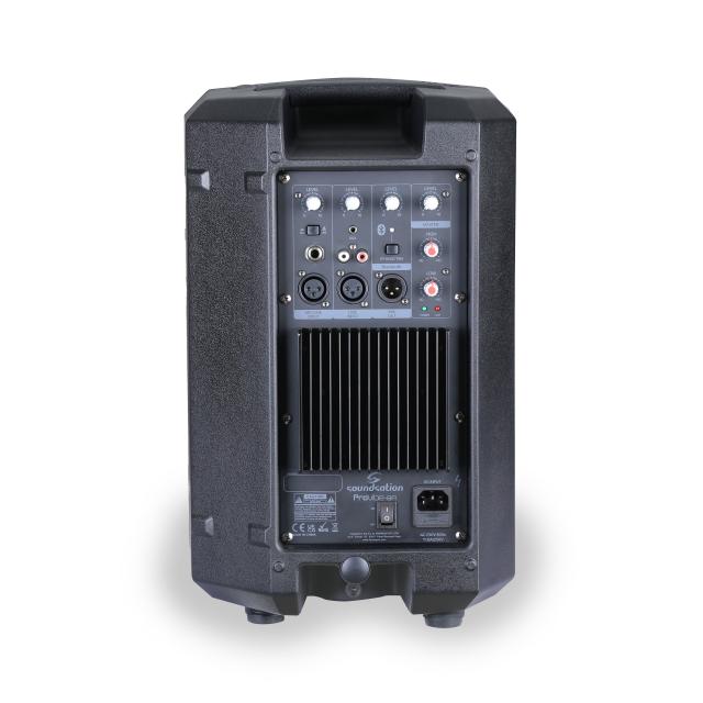 Diffusore Attivo 8” a 2-Vie con Bluetooth e TWS