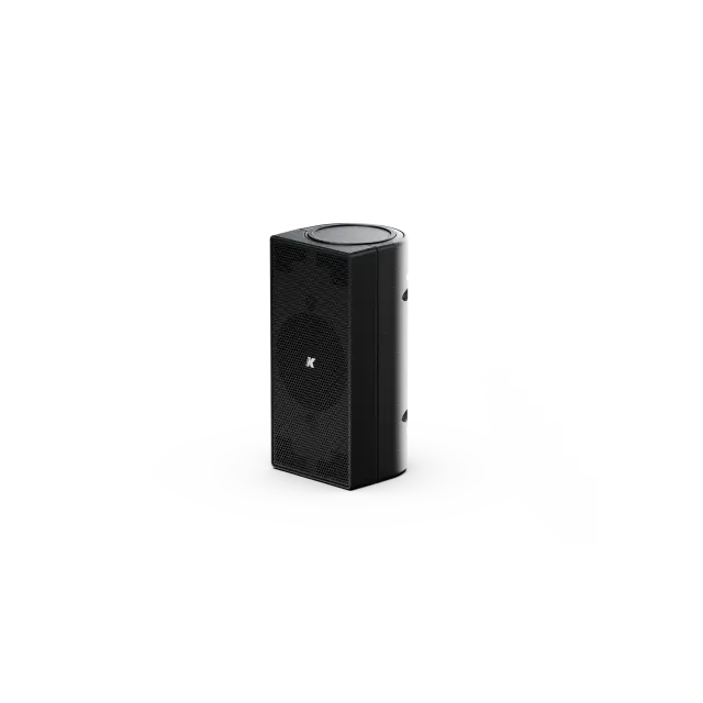 Diffusore Passivo Ultra Compatto Point Source da 2", 4 Ohm (colore Nero)