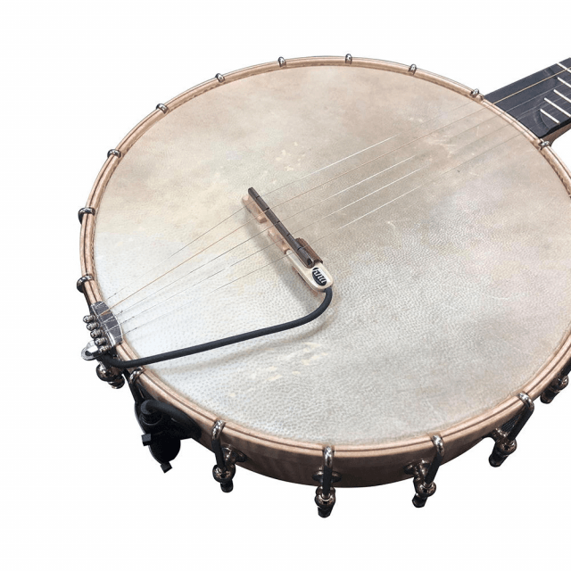 BP-1 pickup portatile per banjo