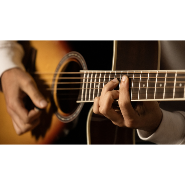 Cutaway acoustic guitar with preamp