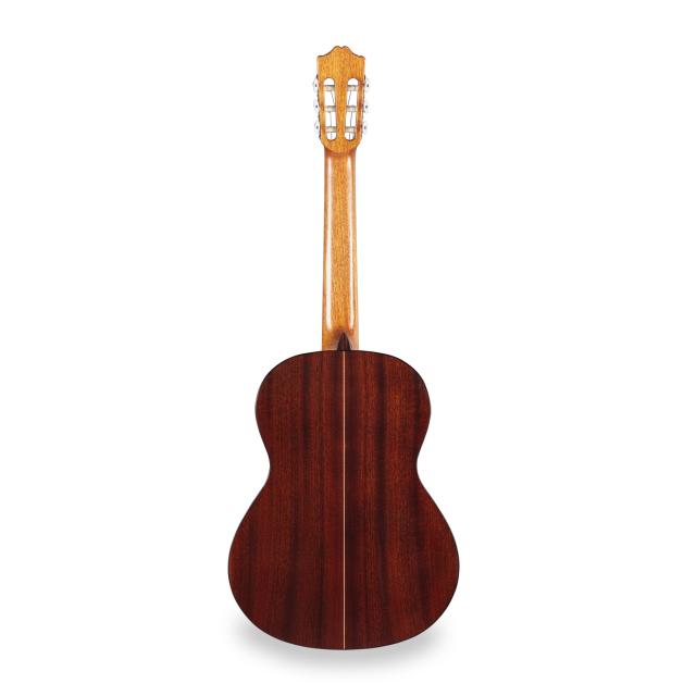 Chitarra classica da studio
