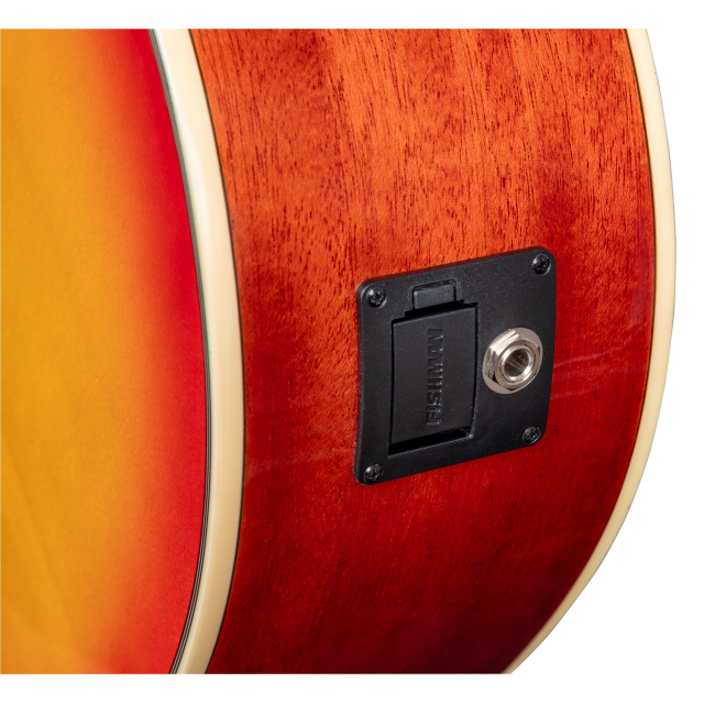 Cutaway acoustic guitar with preamp