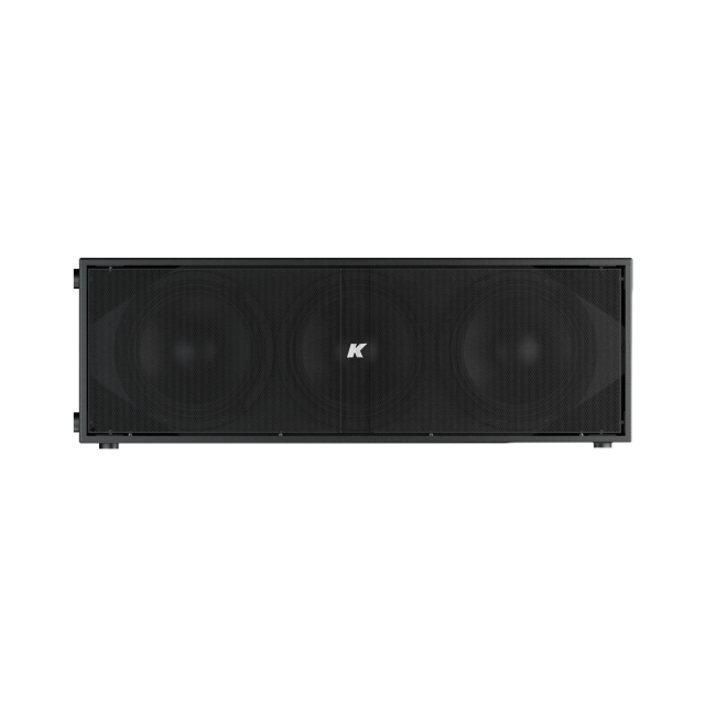 Subwoofer Passivo Cardioide ad Alte Prestazioni con 4 Woofer da 12" (Nero)