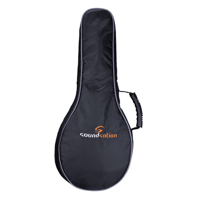 Gigbag for archtop mandolin - 10mm padding