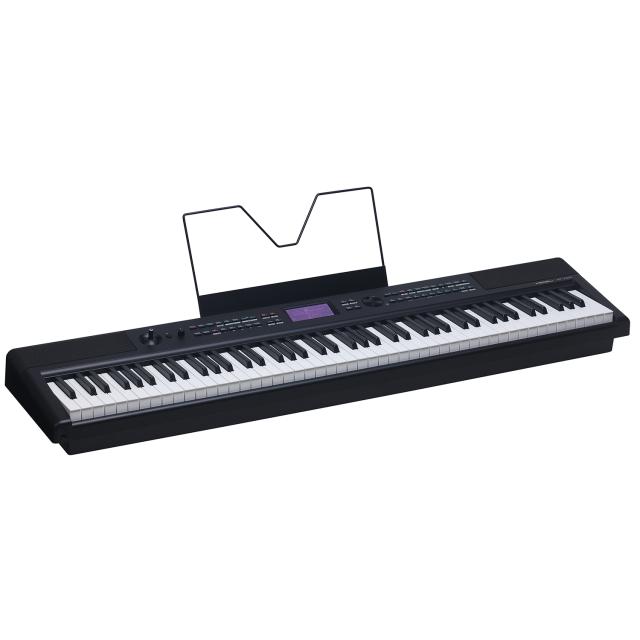 Professional stage piano