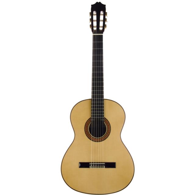 Professional classical guitar