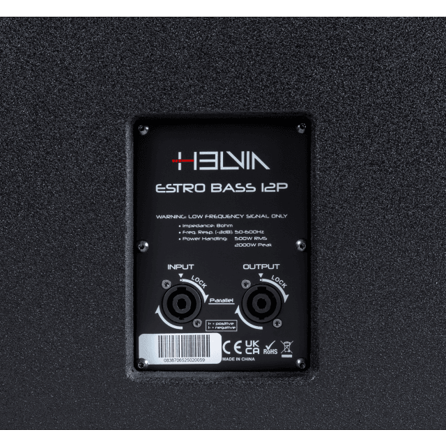 Subwoofer Professionale Passivo 12" con Bass Reflex