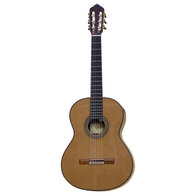 Concert classical guitar - Linea Professional