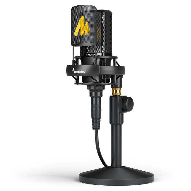 Professional large Diaphgram Microphone AU-PM500