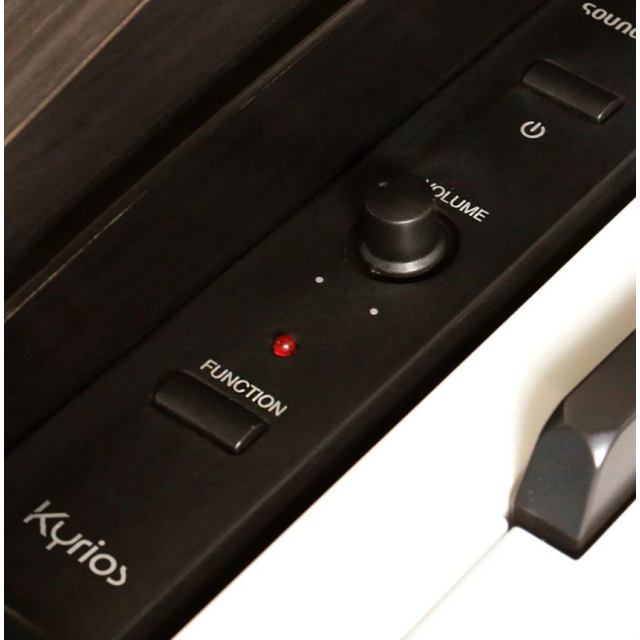 Home Digital Piano with hammer action keys