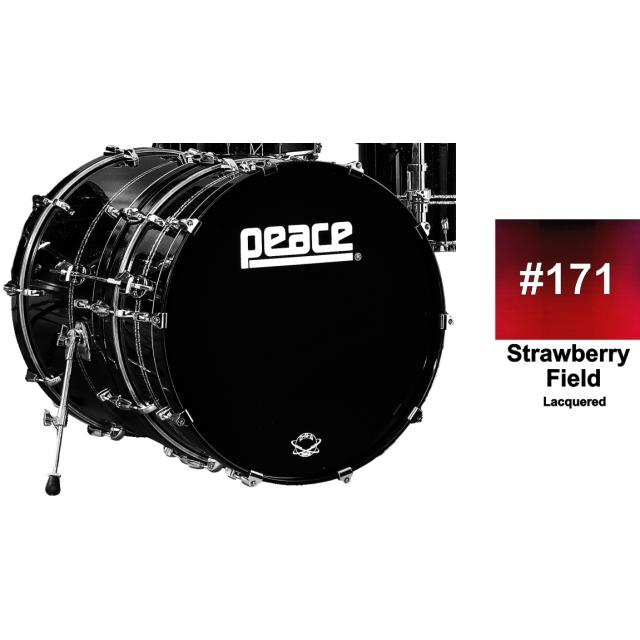 22x8 Bassdrum Subwoofer
