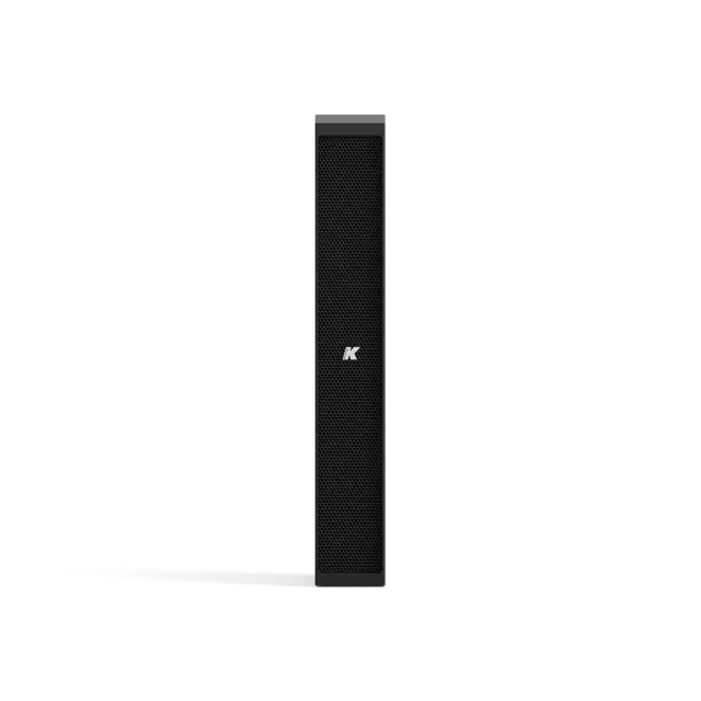 Diffusore Line Array Passivo Ultra-sottile a Impedenza Selezionabile da 4x1" (colore Nero)