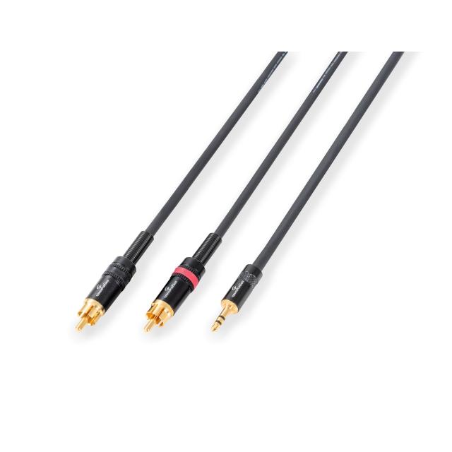 Wiremaster adapter cable Mini jack stereo 3.5 - 2 x RCA / 1.5 mt