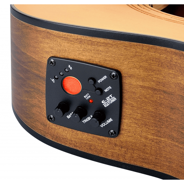 Chitarra acustica Dreadnought 4/4 con top in abete masello, rosetta incisa e preamp