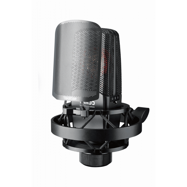 Multi Pattern Gold Capsule Studio Recording Microphone