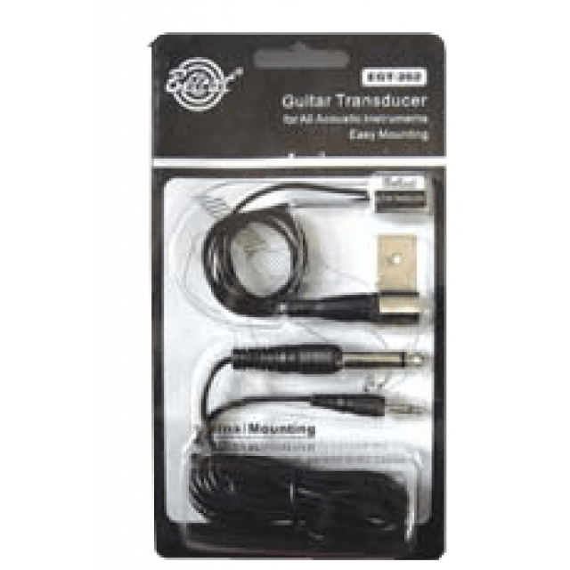 Dual Transducer for Acoustic Instruments