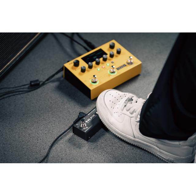 Stereo pedal looper