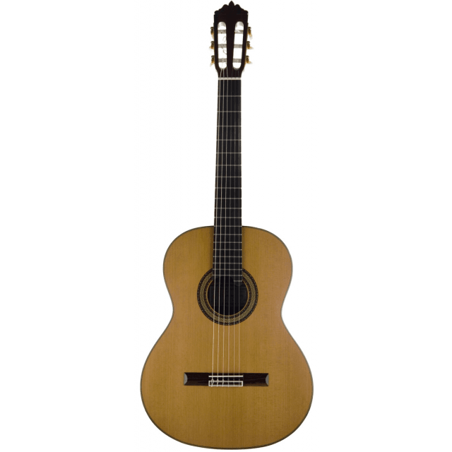 Concert classical guitar