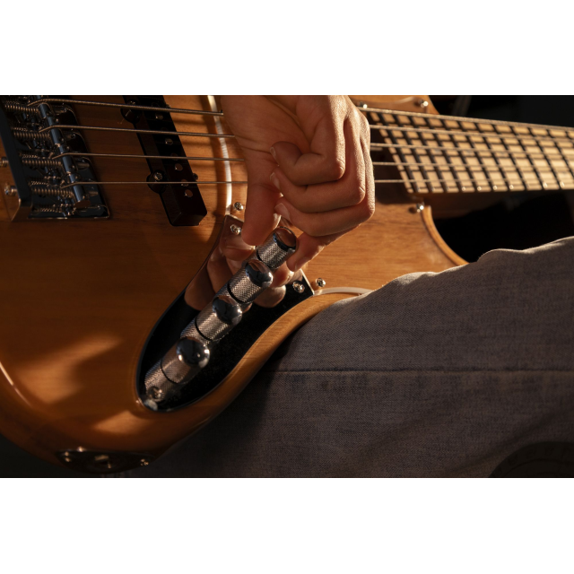 Electric bass with roasted maple freboard and neck (4 strings)