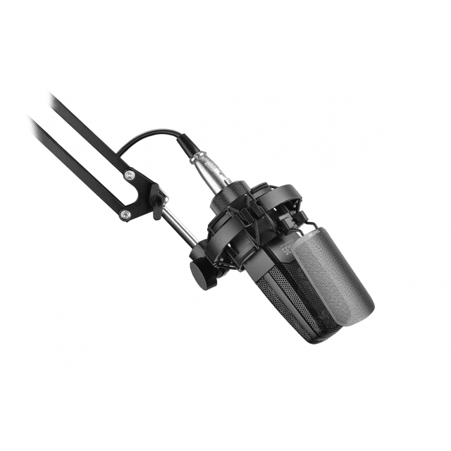 Home & Studio Recording Microphone Black