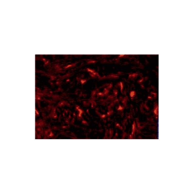 Adhesive Sheet for Pickguard (Tortoise Shell)