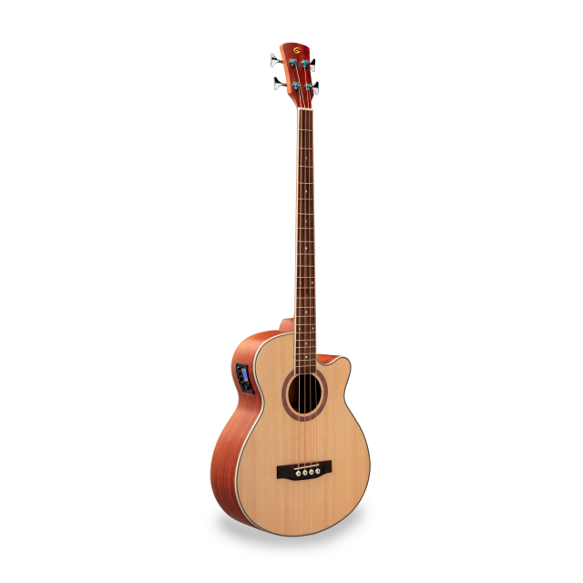 Cutaway acoustic bass with preamp