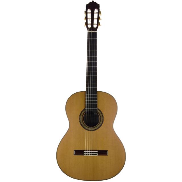 Concert classical guitar