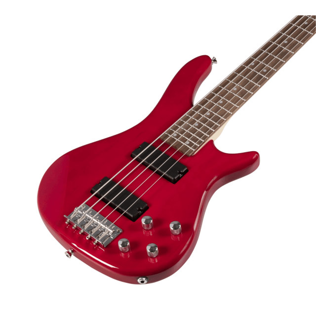 Basso elettrico con pick up al ponte e al manico (versione 5 corde)