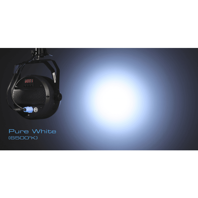 4x50W Warm + Pure White LED PAR with 25° beam for indoor use