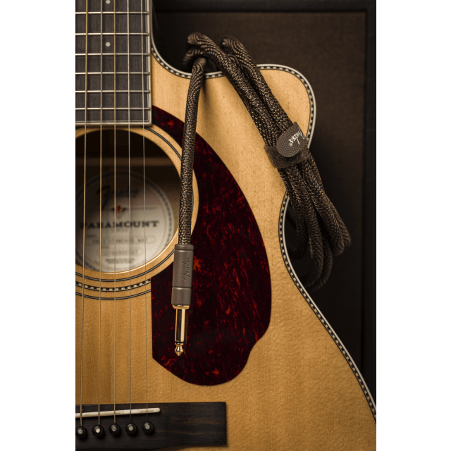 Paramount 10' Acoustic Instrument Cable, Brown