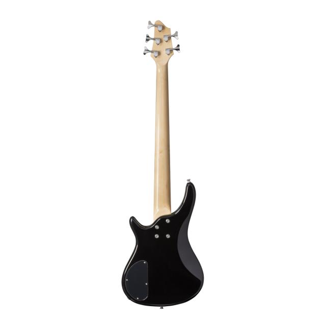 Electric bass with bridge and neck pick ups (5 strings version)