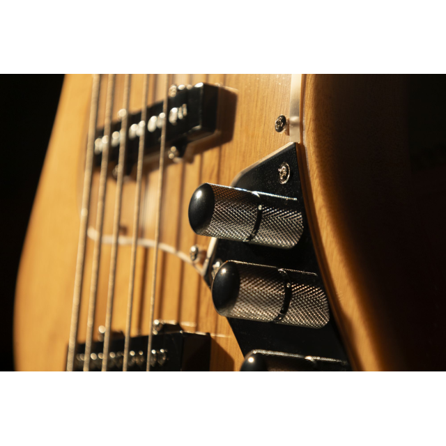 Electric bass with roasted maple freboard and neck (5 strings)