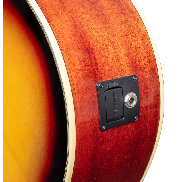 Cutaway acoustic guitar with preamp