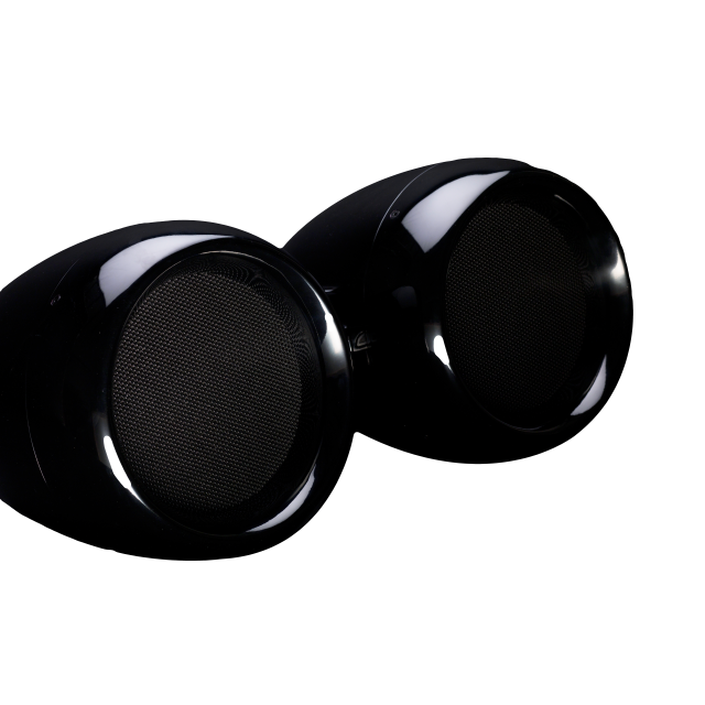 Passive coaxial loudspeaker with double 10" drivers (black)