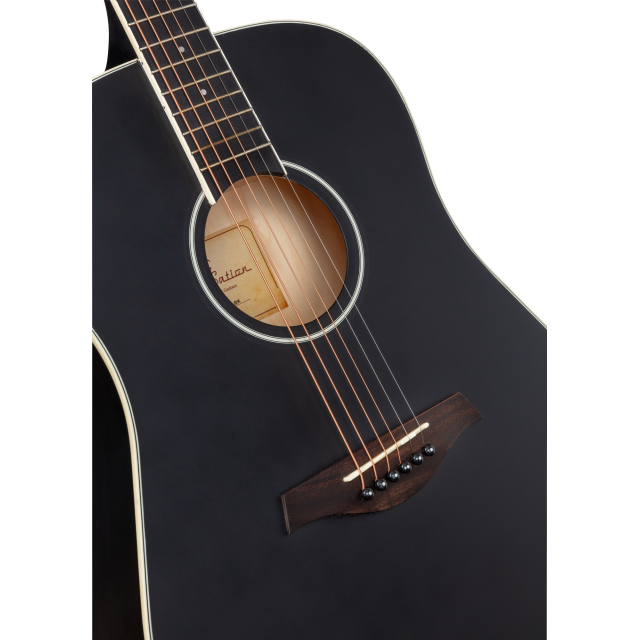 Dreadnought acoustic guitar