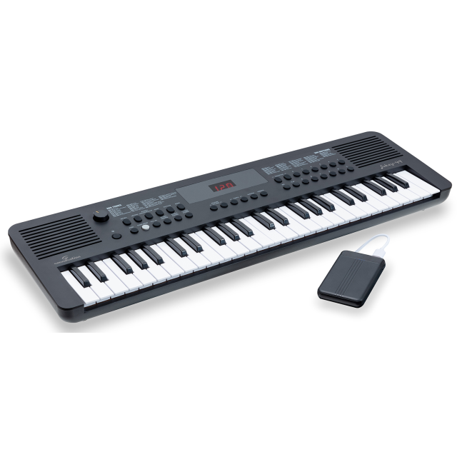 Arranger keyboard with 49 mini-size keys and Power Bank + carrying bag