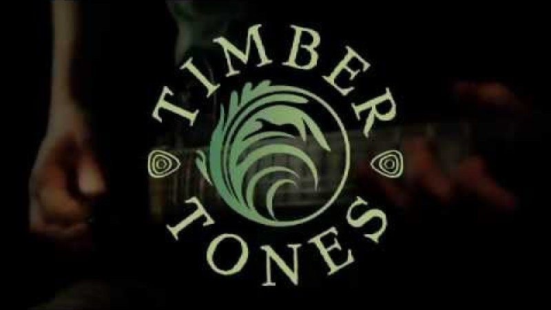 Timber Tones African Ebony on Electric Guitar