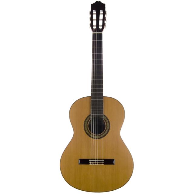 Classical student guitar